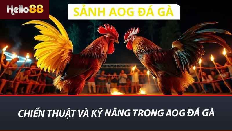 Chiến thuật và kỹ năng trong aog đá gà