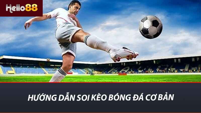 Hướng dẫn soi kèo bóng đá cơ bản