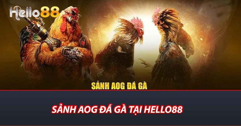 Sảnh AOG Đá Gà tại Hello88