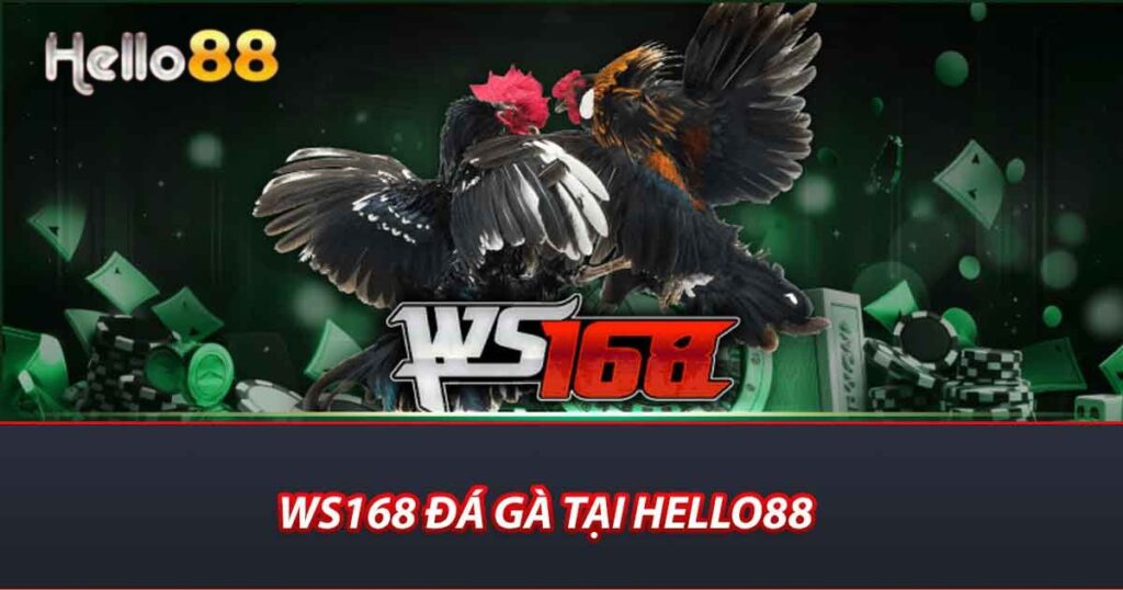 ws168 đá gà tại hello88